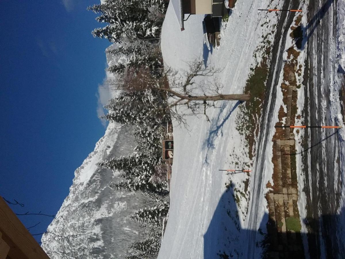 Apartment Bauernhof Vordergrub Scheffau am Wilden Kaiser